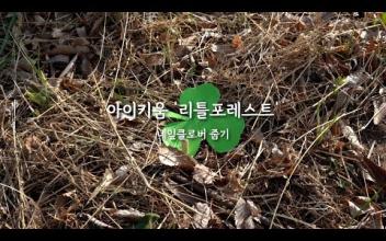 [아이키움] 리틀포레스트 '네잎클로버 줍기' 이미지