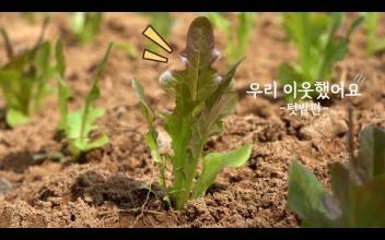 우리이웃했어요 텃밭편 Ep1~2 이미지