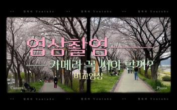 영상담당자 꼭 카메라 써야 하나?? 이미지