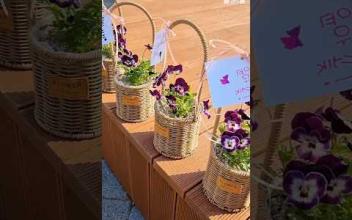 아이키움배움터 봄에 피는 꼿 이미지