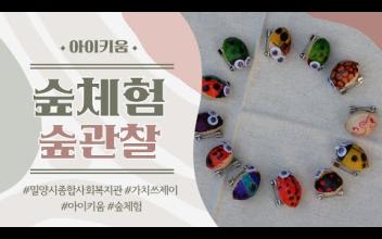 &#034;숲 체험, 숲 관찰&#034; 재미있어요! 이미지