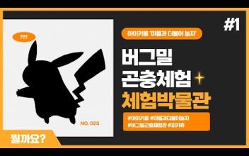 아이키움 '마을과 더불어 놀자' 버그밀 곤충체험 박물관 이미지